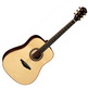 Veelah V6-D Acoustic Guitar