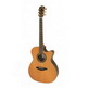 Veelah V57-OMCE Acoustic Guitar (w/Preamp)